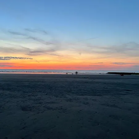 Schelp 13 * Middelkerke